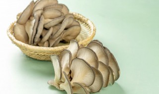 蘑菇制作方法 软炸蘑菇的做法