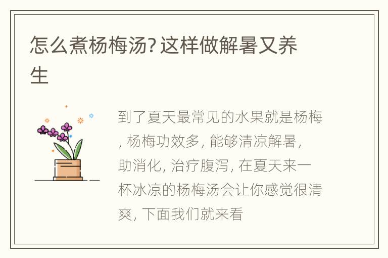 怎么煮杨梅汤？这样做解暑又养生