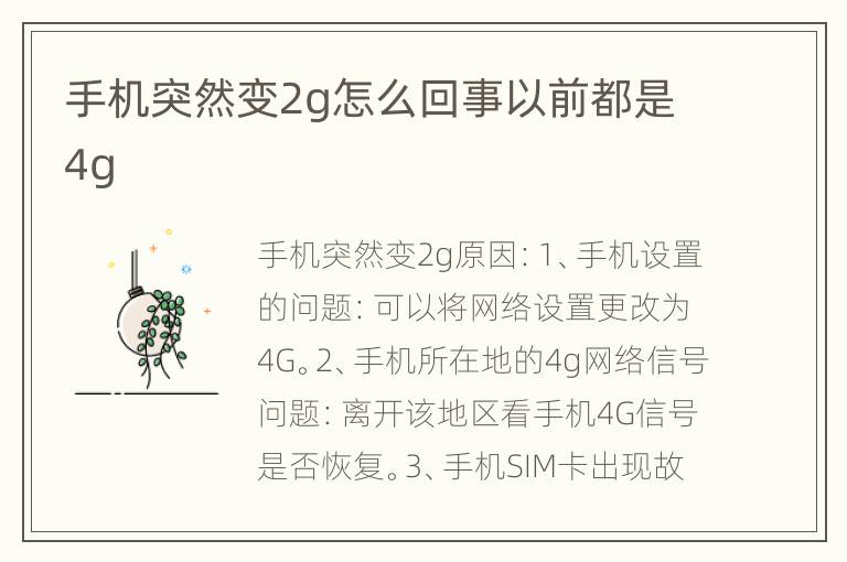 手机突然变2g怎么回事以前都是4g