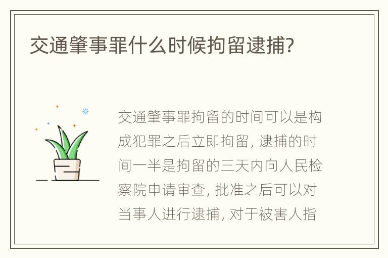 交通肇事罪什么时候拘留逮捕？