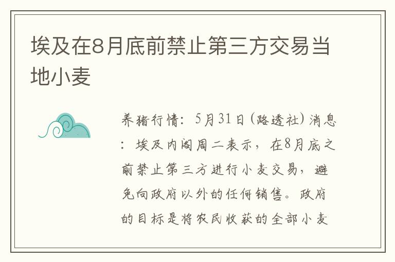 埃及在8月底前禁止第三方交易当地小麦