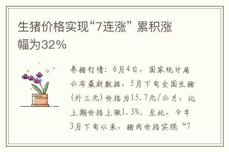 生猪价格实现“7连涨” 累积涨幅为32％