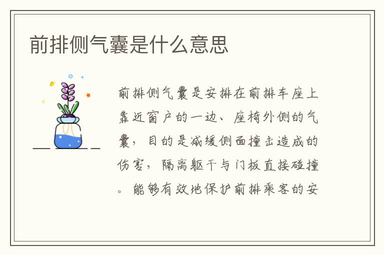 前排侧气囊是什么意思