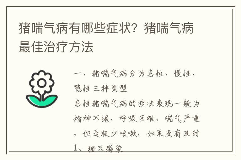 猪喘气病有哪些症状？猪喘气病最佳治疗方法