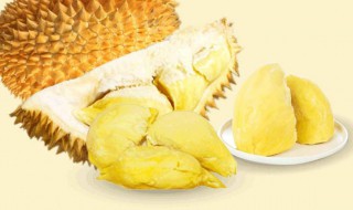 榴莲怎样储存能放多久 榴莲储存方法