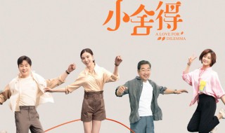 小舍得插曲 小舍得插曲有几首