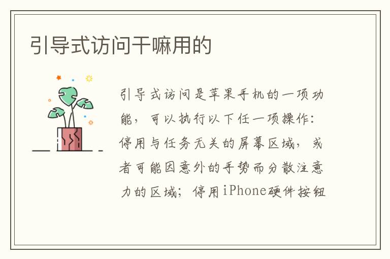 引导式访问干嘛用的