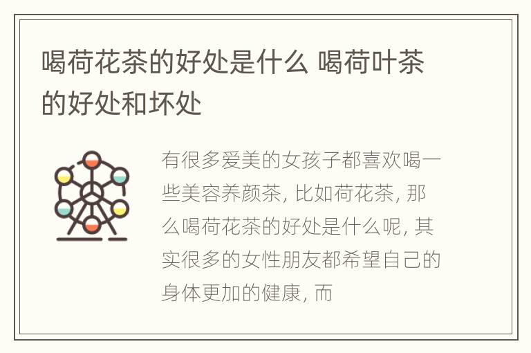 喝荷花茶的好处是什么 喝荷叶茶的好处和坏处