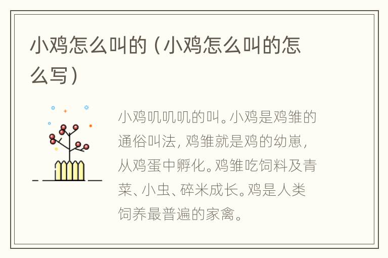 小鸡怎么叫的（小鸡怎么叫的怎么写）