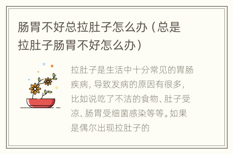 肠胃不好总拉肚子怎么办（总是拉肚子肠胃不好怎么办）