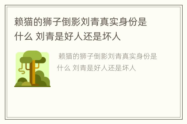 赖猫的狮子倒影刘青真实身份是什么 刘青是好人还是坏人