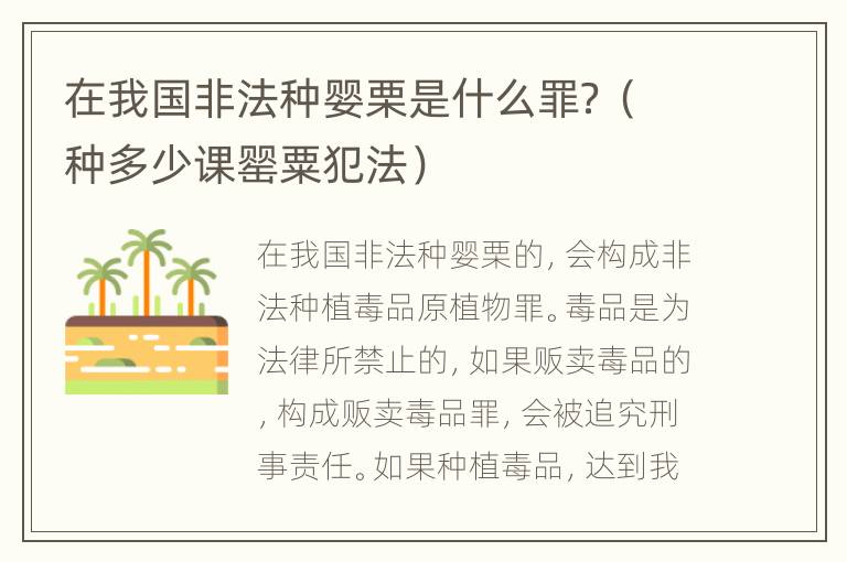 在我国非法种婴栗是什么罪？（种多少课罂粟犯法）