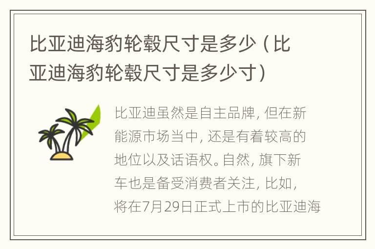 比亚迪海豹轮毂尺寸是多少（比亚迪海豹轮毂尺寸是多少寸）