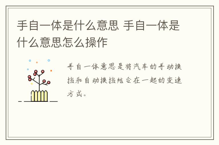 手自一体是什么意思 手自一体是什么意思怎么操作