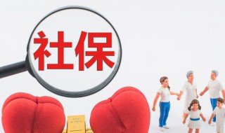怎样重新申请电子社保卡 重新申请电子社保卡的方法
