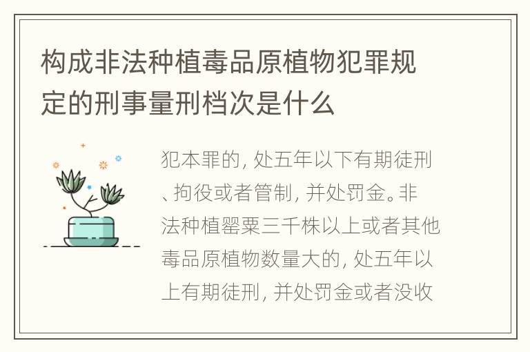 构成非法种植毒品原植物犯罪规定的刑事量刑档次是什么