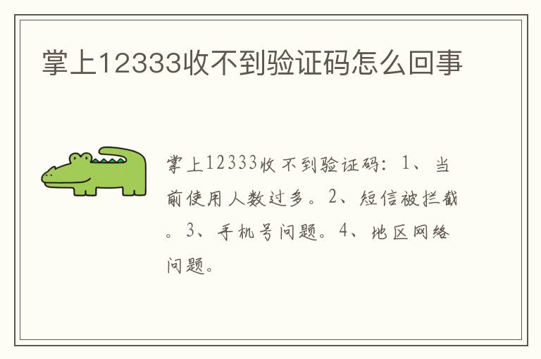 掌上12333收不到验证码怎么回事