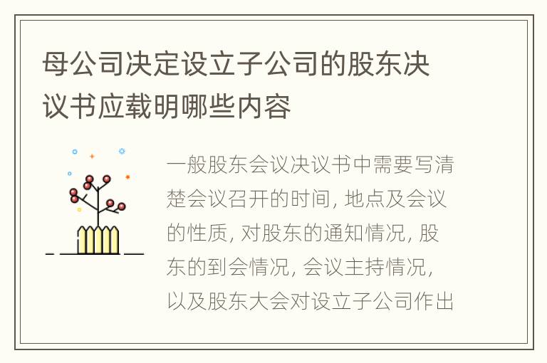 母公司决定设立子公司的股东决议书应载明哪些内容