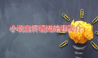 小说宫怀缱绻故事简介 小说宫怀缱绻的作者是谁