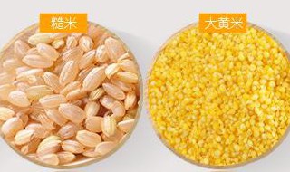 黄米薏米粥功效与作用 黄米薏米粥有哪些功效和作用