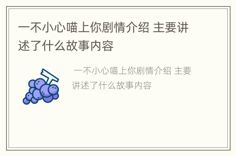 一不小心喵上你剧情介绍 主要讲述了什么故事内容