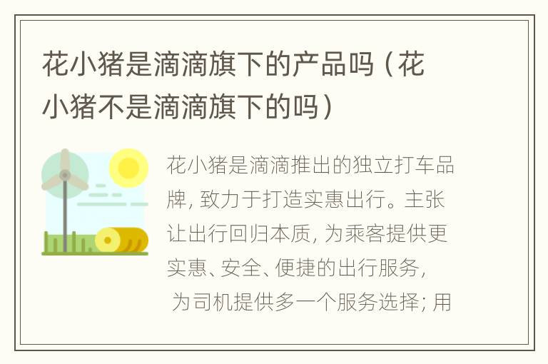 花小猪是滴滴旗下的产品吗（花小猪不是滴滴旗下的吗）