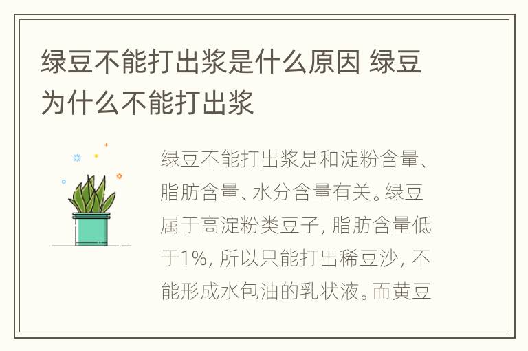 绿豆不能打出浆是什么原因 绿豆为什么不能打出浆