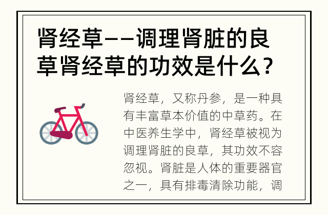 肾经草——调理肾脏的良草 肾经草的功效是什么？