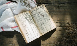 愿作深山木下一句是什么 愿作深山木原文