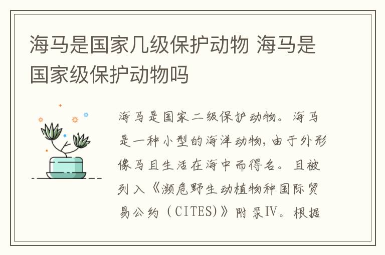 海马是国家几级保护动物 海马是国家级保护动物吗