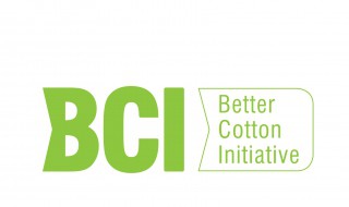 bci组织是什么意思 bci组织的简介