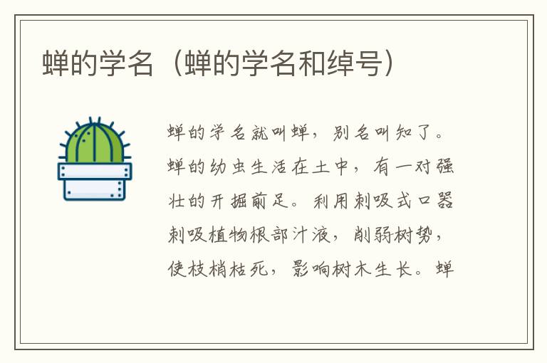 蝉的学名（蝉的学名和绰号）