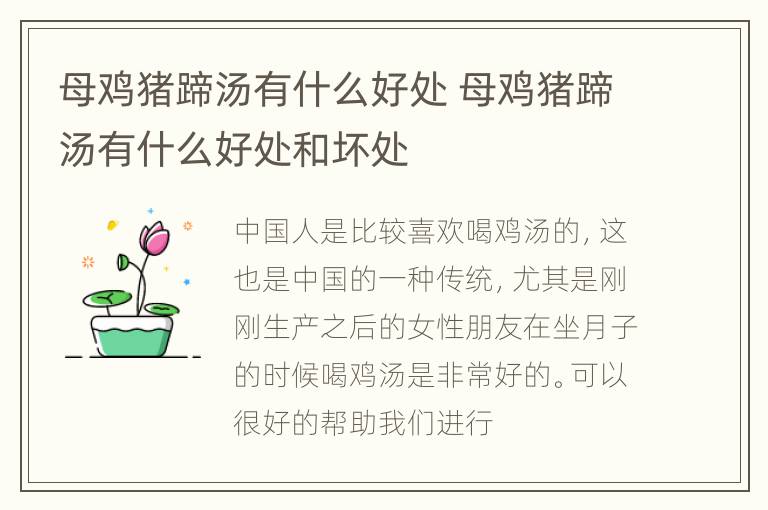 母鸡猪蹄汤有什么好处 母鸡猪蹄汤有什么好处和坏处