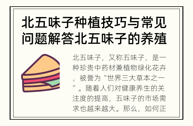 北五味子种植技巧与常见问题解答 北五味子的养殖技巧该怎么做？