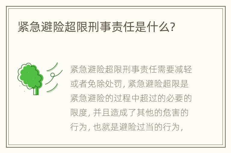 紧急避险超限刑事责任是什么？