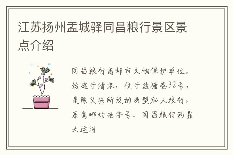 江苏扬州盂城驿同昌粮行景区景点介绍
