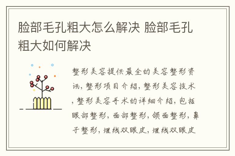 脸部毛孔粗大怎么解决 脸部毛孔粗大如何解决
