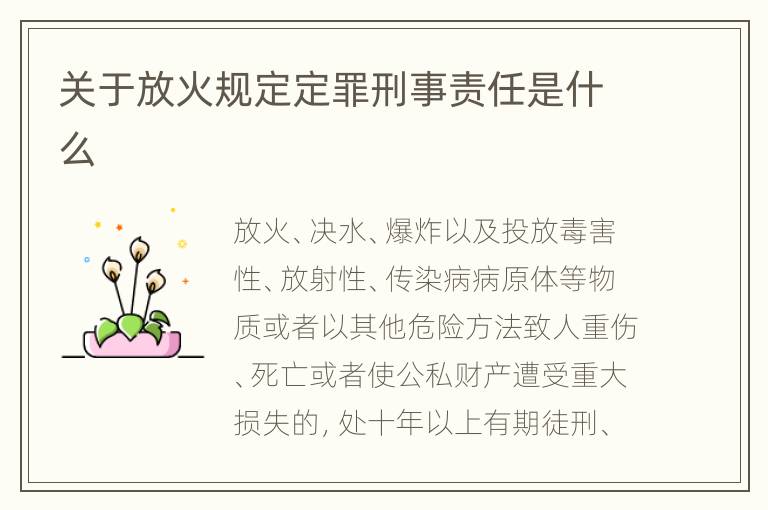 关于放火规定定罪刑事责任是什么