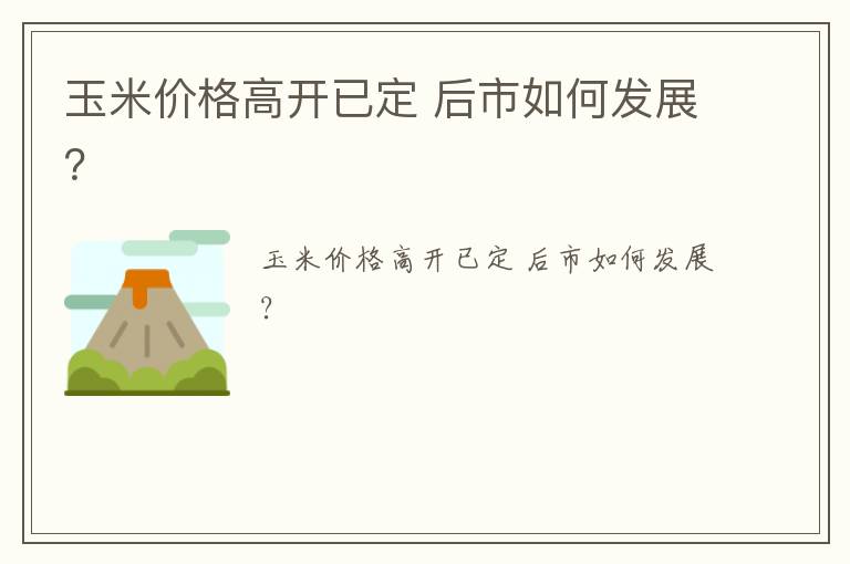 玉米价格高开已定 后市如何发展？