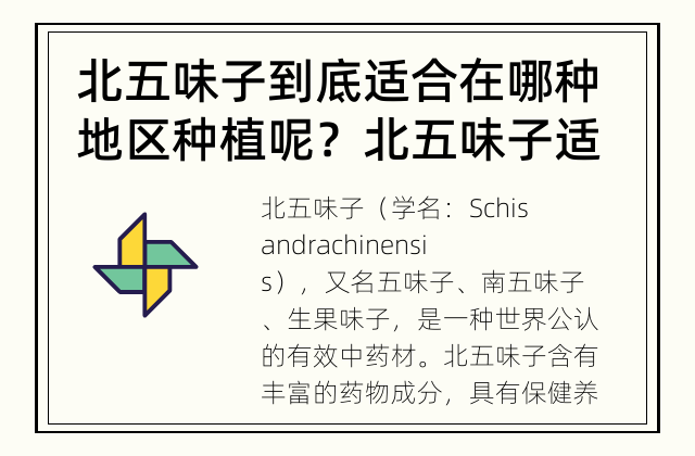 北五味子到底适合在哪种地区种植呢？ 北五味子适合种植在哪些地区？