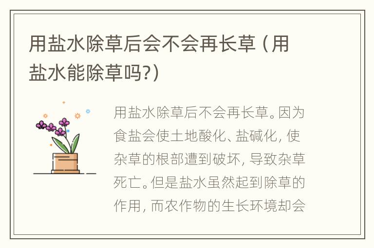 用盐水除草后会不会再长草（用盐水能除草吗?）