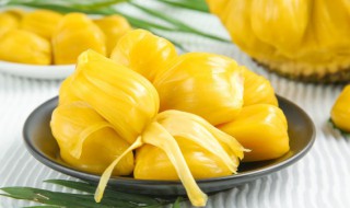 菠萝蜜核的吃法 菠萝蜜核的吃法是什么？
