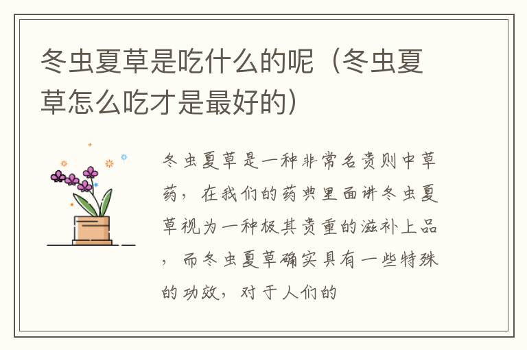 冬虫夏草是吃什么的呢（冬虫夏草怎么吃才是最好的）