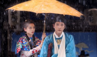 夜天子故事简介 夜天子电视剧简介