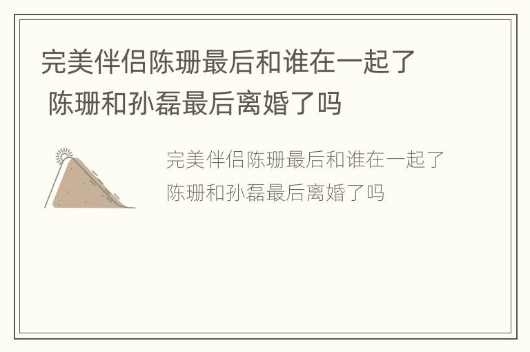 完美伴侣陈珊最后和谁在一起了 陈珊和孙磊最后离婚了吗