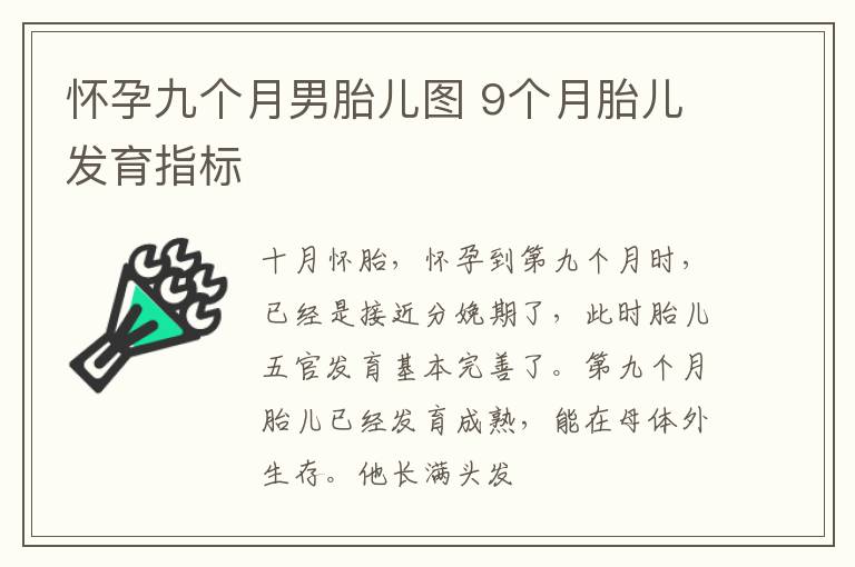 怀孕九个月男胎儿图 9个月胎儿发育指标
