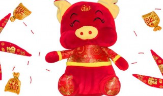属猪什么颜色的衣服旺财（属猪的今天穿什么颜色的衣服旺财）