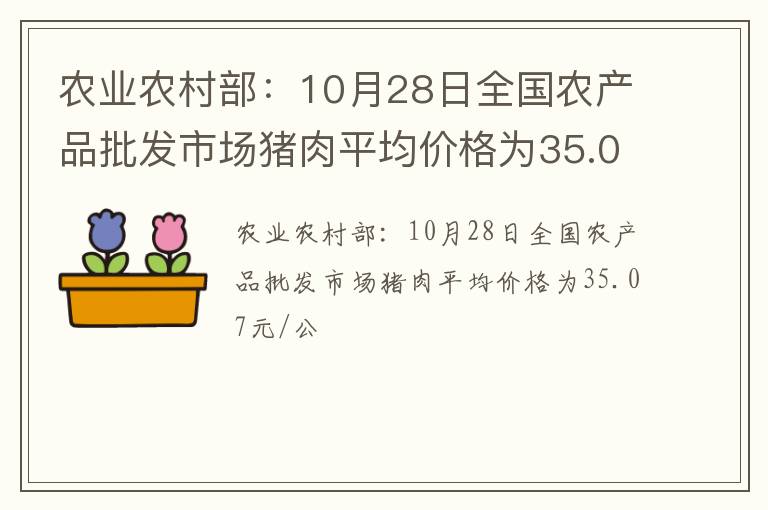 农业农村部：10月28日全国农产品批发市场猪肉平均价格为35.07元/公