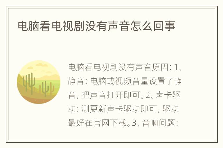 电脑看电视剧没有声音怎么回事