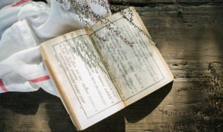 绞丝旁代表什么 绞丝旁代表啥